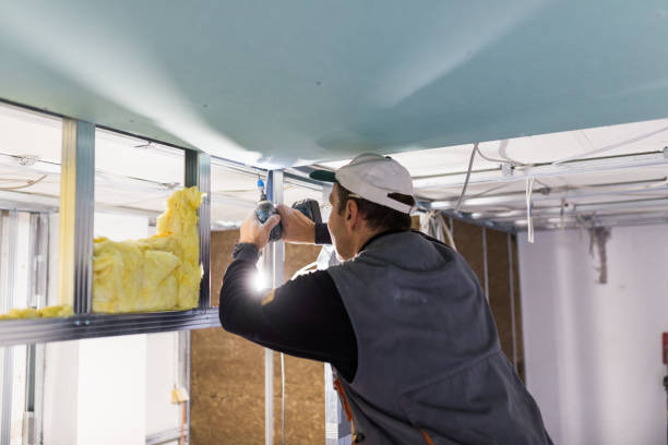 Best Commercial Insulation in Upper Fruitland, NM