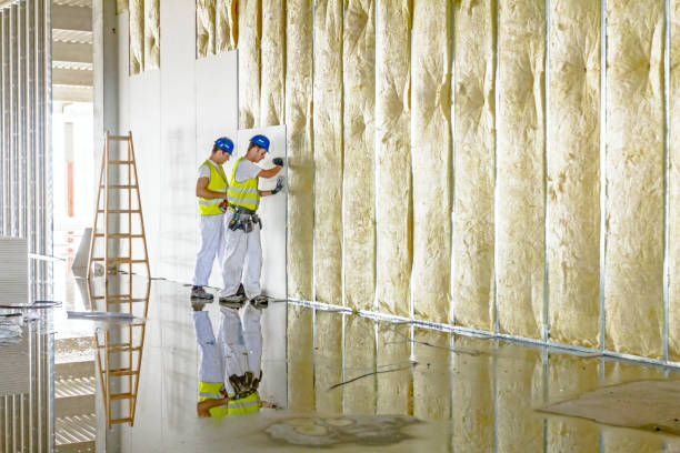 Best Insulation Installation Services in Upper Fruitland, NM